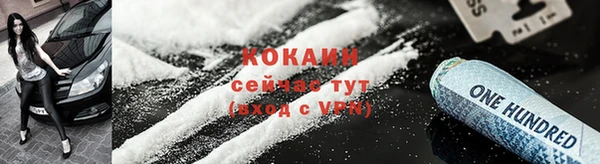 гашик Мегион