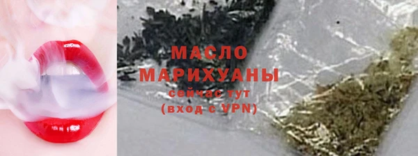 гашик Мегион