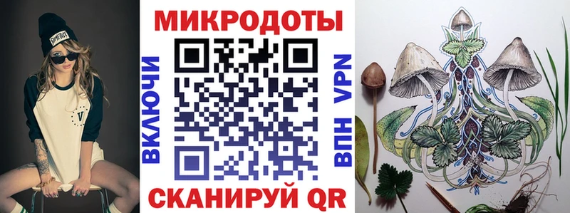 Псилоцибиновые грибы Psilocybe  Бирюч 